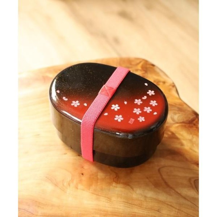 HAKOYA Boîte Bento 2 Étages 570ml Motif Sakura Rouge Japonais
