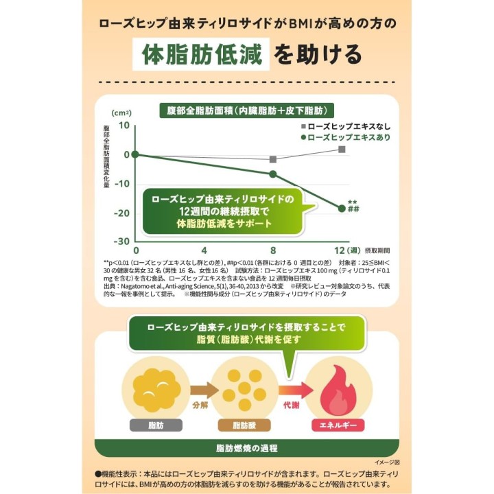 AGF Blendy MyBottle Funktionaler Grüntee 6 Sticks Japan