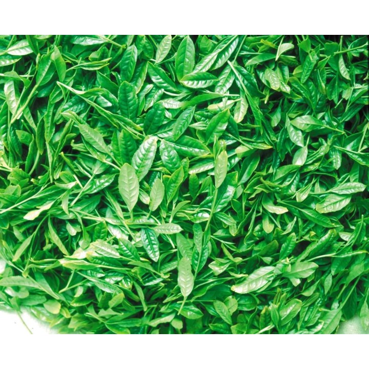 Thé Vert Poudre Matcha Uji 400g - Import Japonais