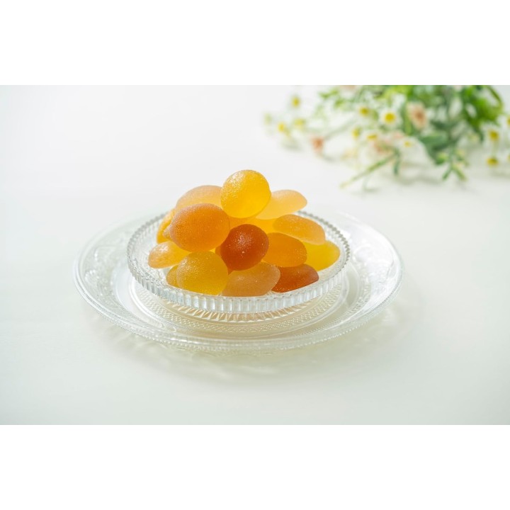 Ginza Sembikiya Fruit Jelly - Japanese Import | Cookingsan