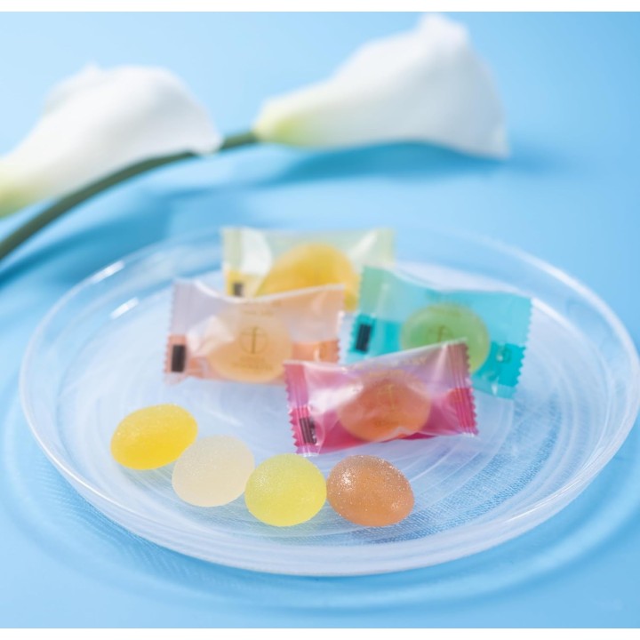 Ginza Sembikiya Fruit Jelly - Japanese Import | Cookingsan