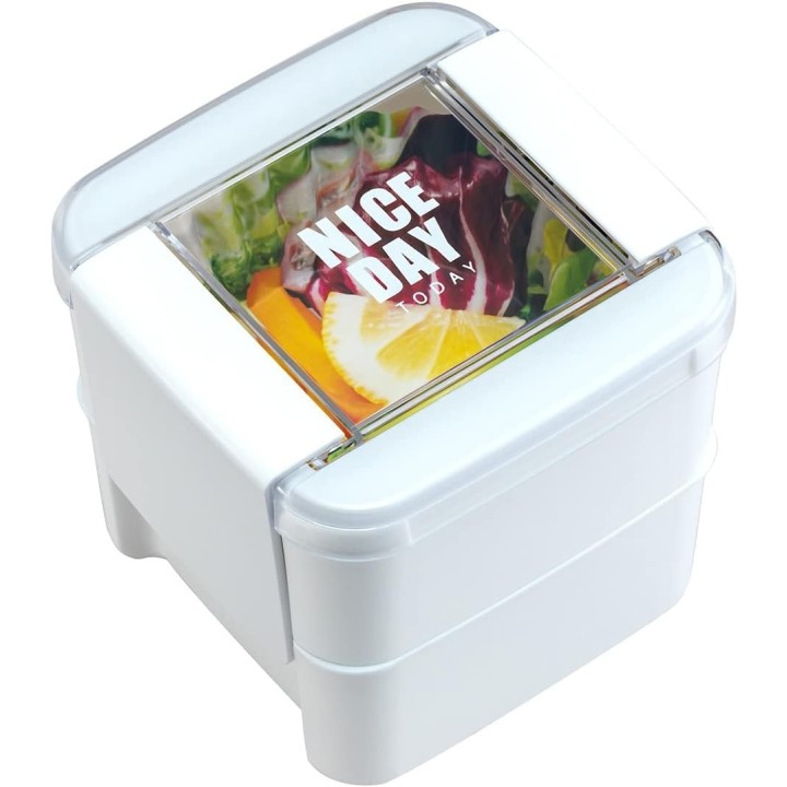 Lustroware 2-stöckige Bento-Box Mint 680ml Japanischer Import