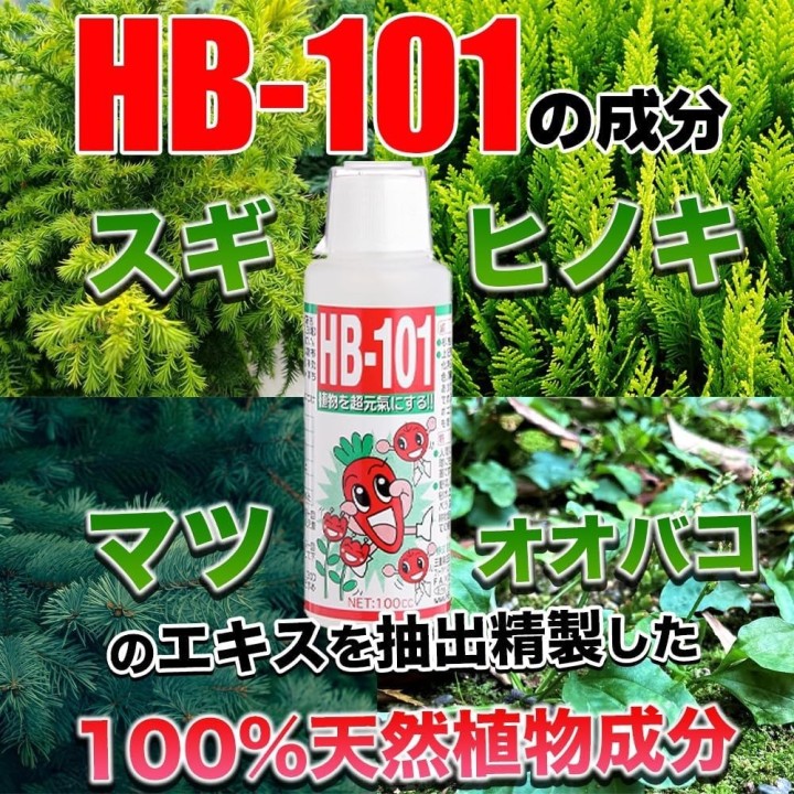 Éplucheur Katsuramuki Chiba Kogyosho Peel S CKT01 30 cm…