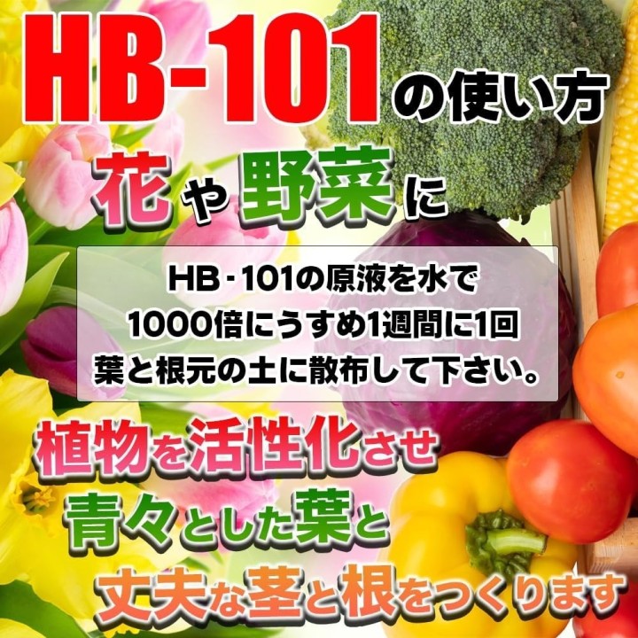 Éplucheur Katsuramuki Chiba Kogyosho Peel S CKT01 30 cm…