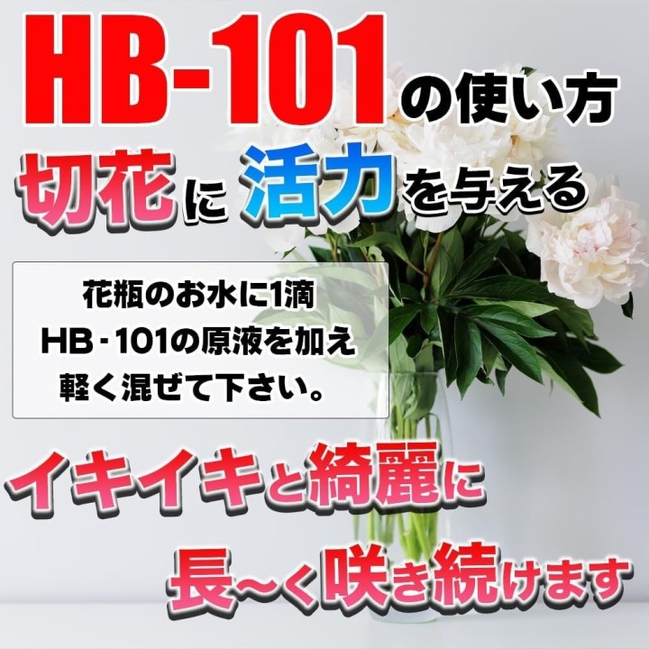 Katsuramuki Chiba Kogyosho Peel S CKT01 30 cm…