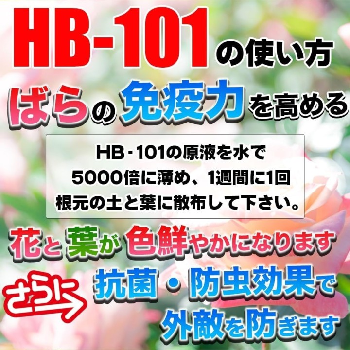 Éplucheur Katsuramuki Chiba Kogyosho Peel S CKT01 30 cm…