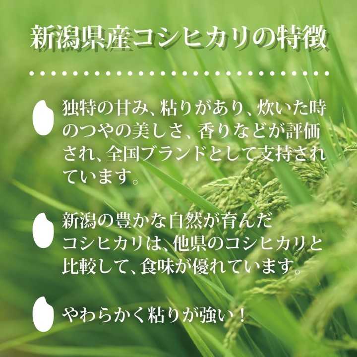 Mitsuhashi - Koshihikari de la préfecture de Niigata 2kg | Cookingsan.com