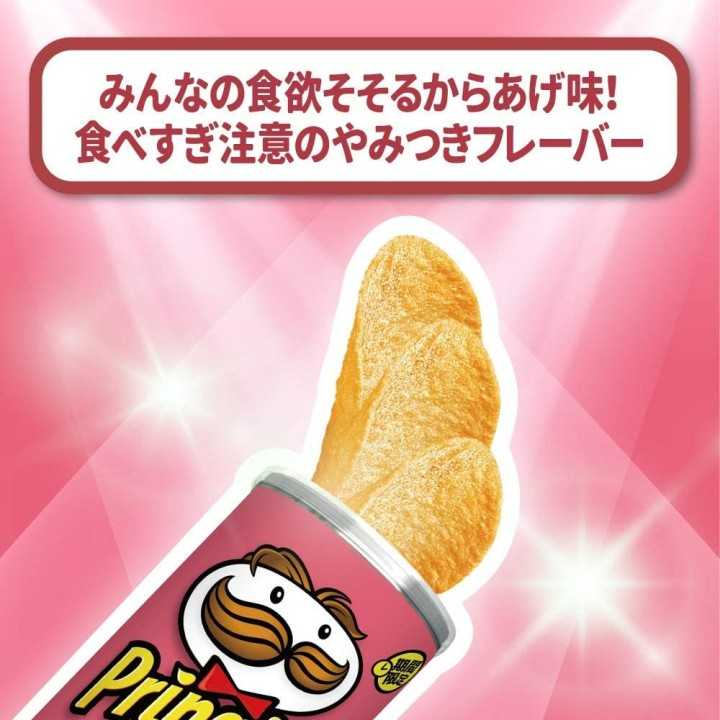 PRINGLES - Karaage (poulet frit japonais) 110g | Cookingsan