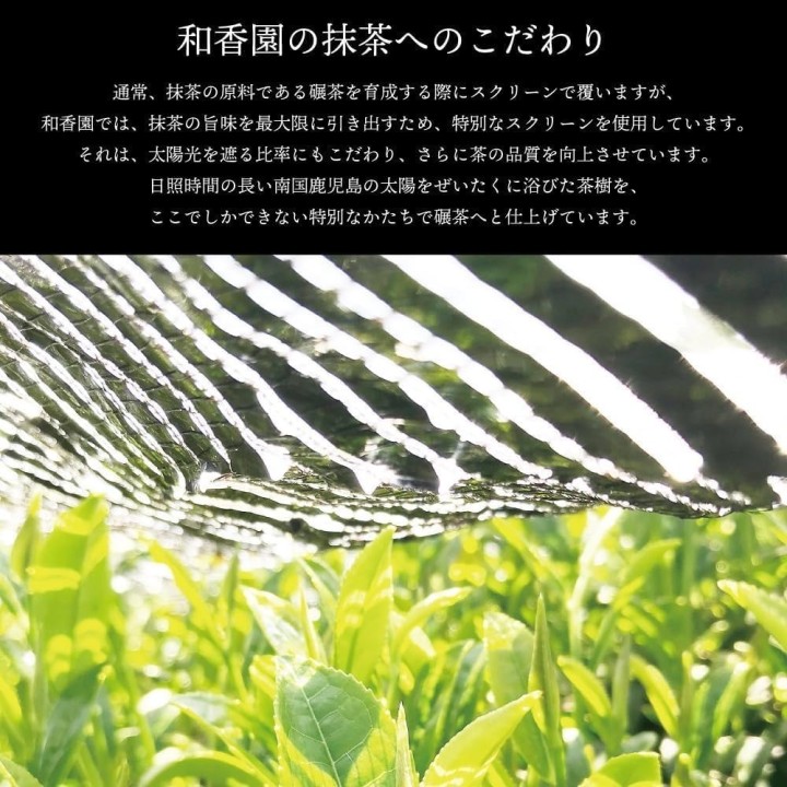 Wakoen Matcha Ou no Kaori – Thé Vert Japon Import | Cookingsan