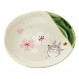 SKATER - TOTORO Small Plate CHMD1-A
