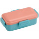 SKATER - Blue & Pink Bento Box PFLB6AG