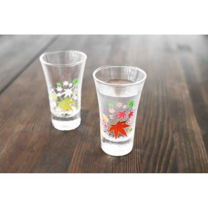 Verres Magiques à Sake - Automne Momiji | Cookingsan.com