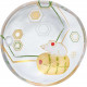 ADERIA - Small Plate Zodiac Signs - The Rat/The Mouse 6001