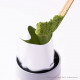 Ippodo Tea - Thé vert Matcha Sayaka no Mukashi 40g