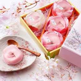 SOMIKAAN - Pudding-Gelées Sakura x5