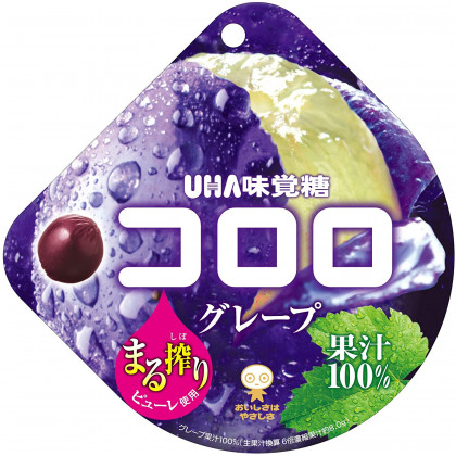UHA MIKAKUTO - KORORO Grape Gummies 48g