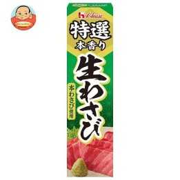 HOUSE FOODS - Premium Wasabi 42g