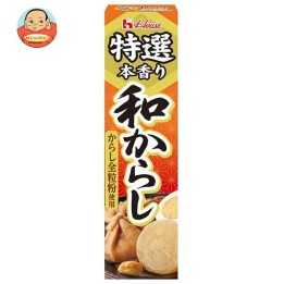 HOUSE FOODS - Karashi Premium (moutarde japonaise) 42g