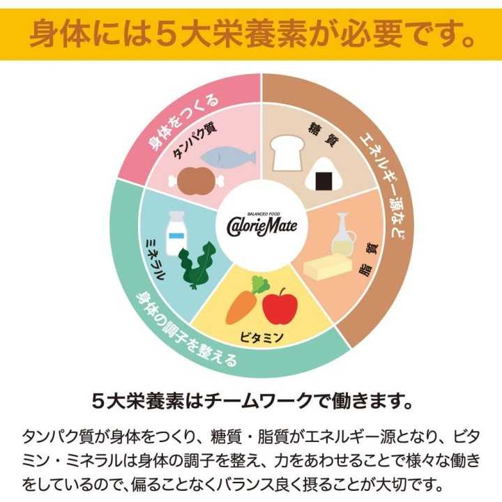 Otsuka - Calorie Mate Block Érable | Cookingsan.com