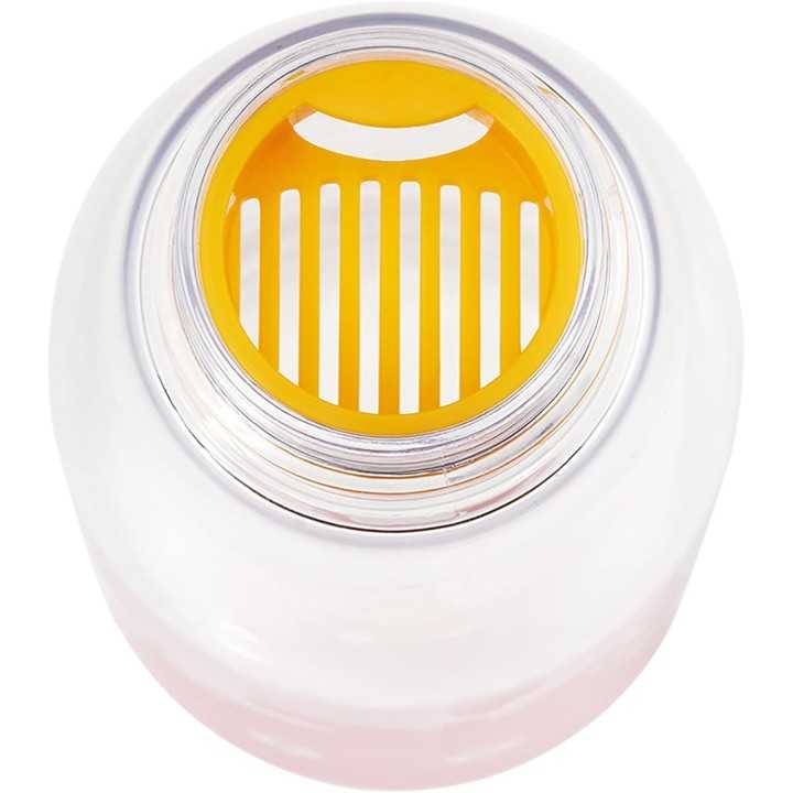 Bouteille d'eau Calcifer 500 ml avec infuseur à thé – Le Château ambulant – Skater – Importée du Japon